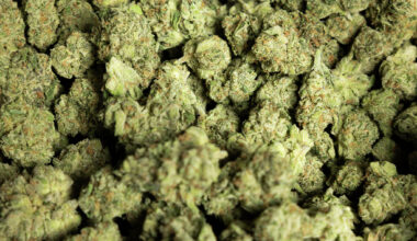 THC products banned in Texas. Here is what to know