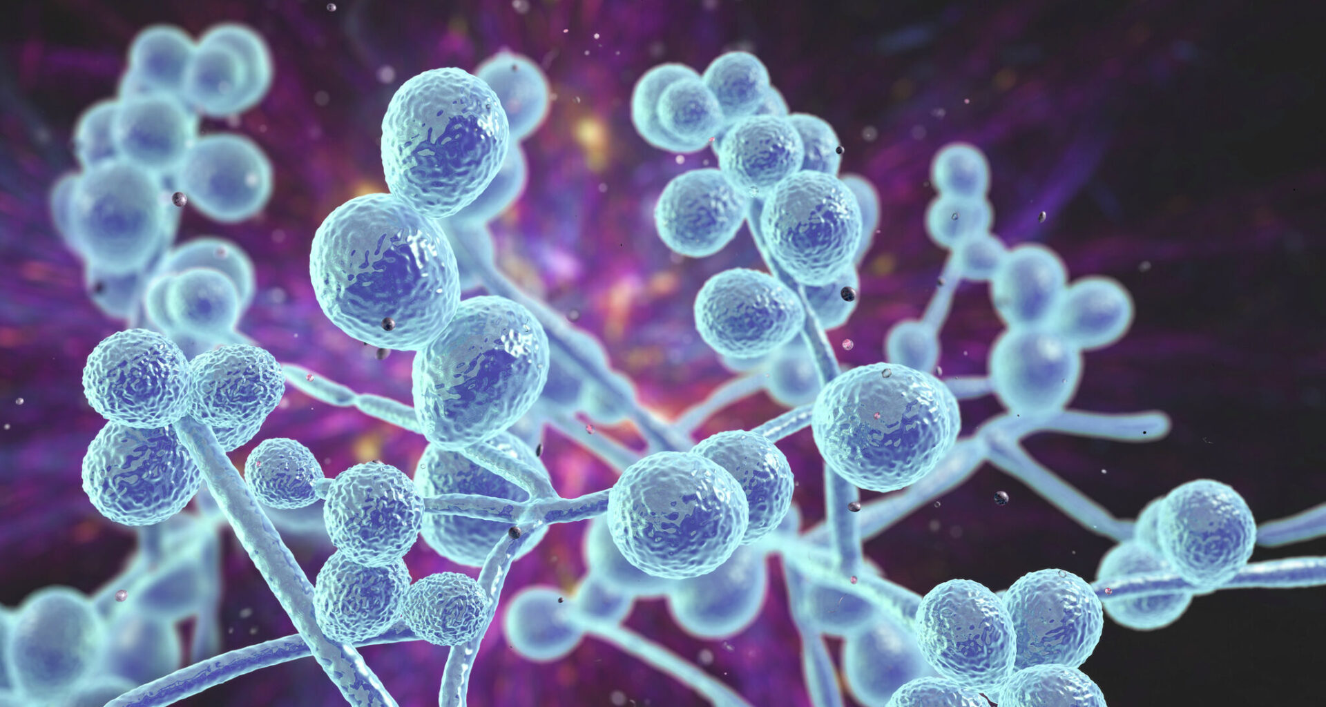 Drug-resistant ‘superbug’ on the rise in Texas