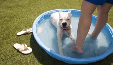 Dallas weather: Triple-digits persist Thursday with sweltering heat