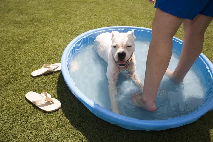 Dallas weather: Triple-digits persist Thursday with sweltering heat