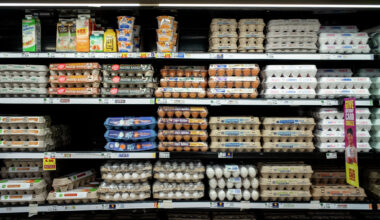 Texas egg recall: 26 hospitalized in Salmonella outbreak