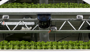 80 Acres Farms shutting down San Antonio site, lay off 166