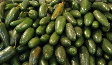 Jalapeño salmonella outbreak hits Texas: What to know