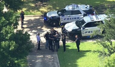 Dallas officer fires shot during felony traffic stop of carjacking suspect