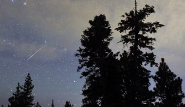 Perseid meteor shower 2026: Where to watch in Texas