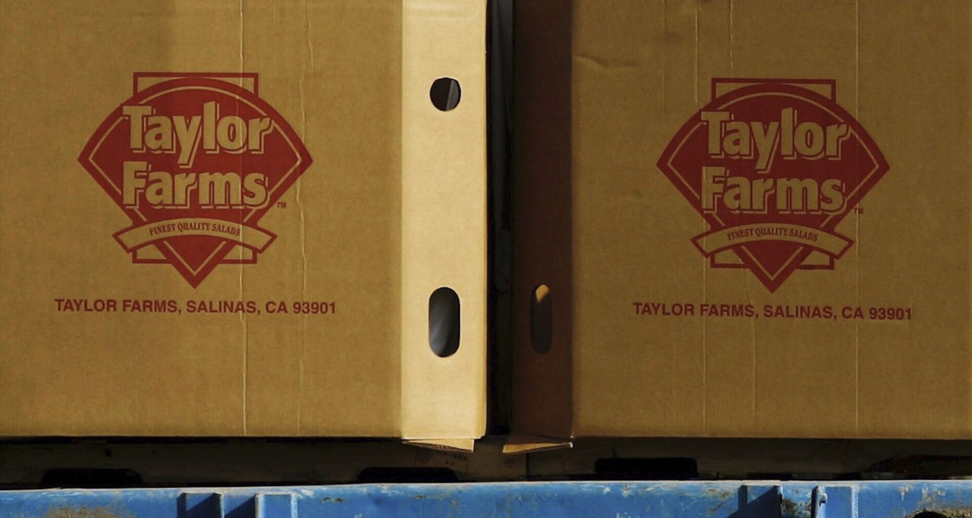 Taylor Farms recalls jalapenos over salmonella concerns