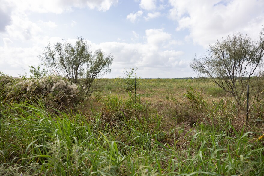 A lot covered in shrubs, trees, and prairie grass stretches to the horizon under a cloudy sky.