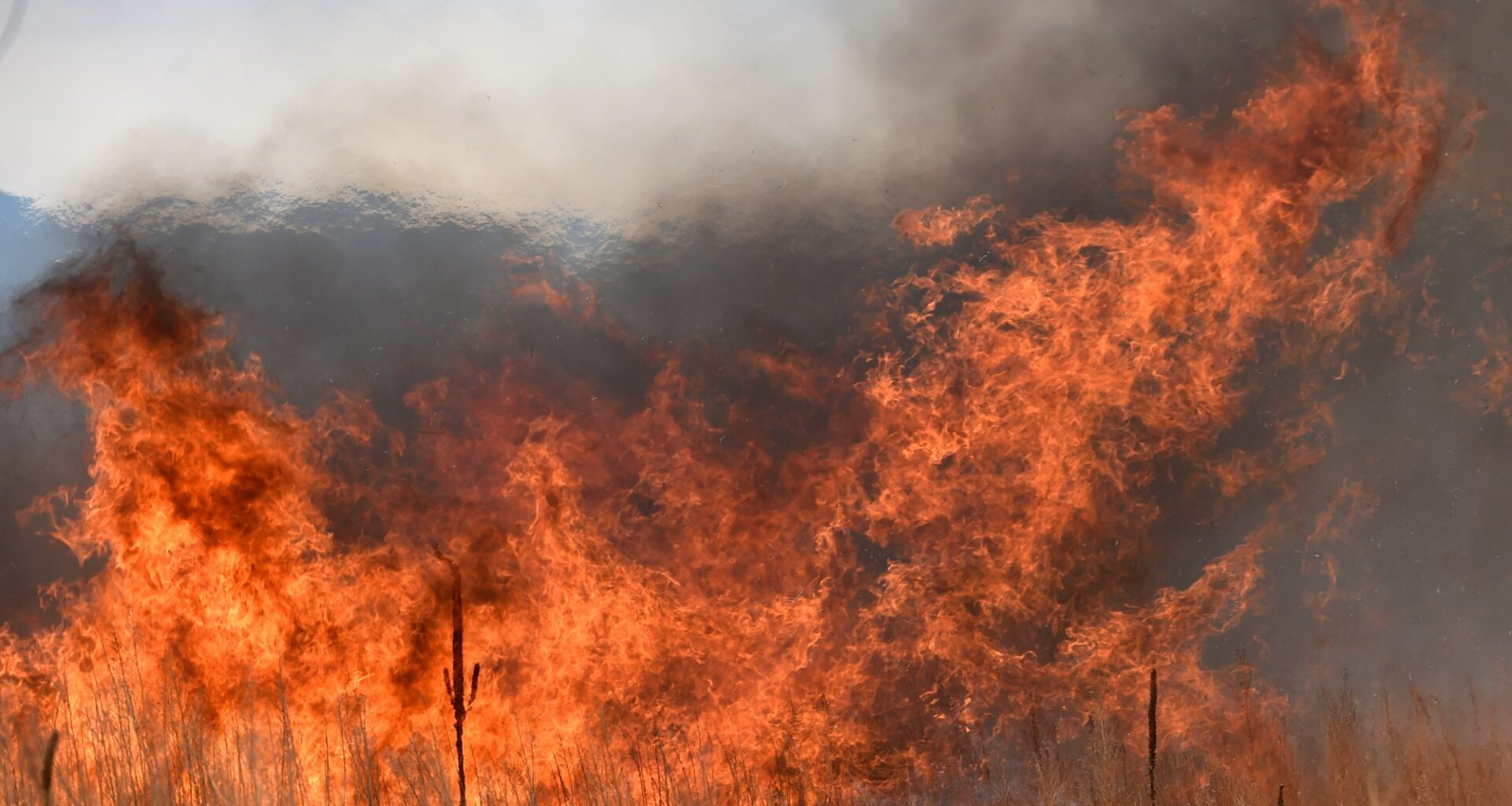 Colorado wildfire: Evacuation order lifted in El Paso County for 'rapidly growing fire'