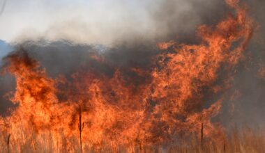 Colorado wildfire: Evacuation order lifted in El Paso County for 'rapidly growing fire'