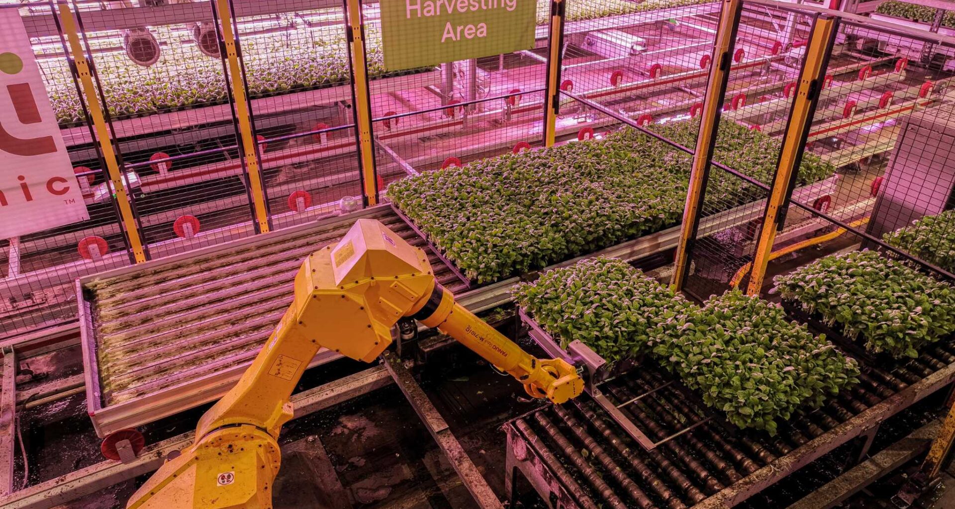 H-E-B produce supplier shuts down, cuts 166 San Antonio jobs