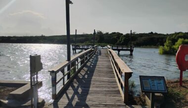 Lake Corpus Christi surpasses 90% full after Texas rains