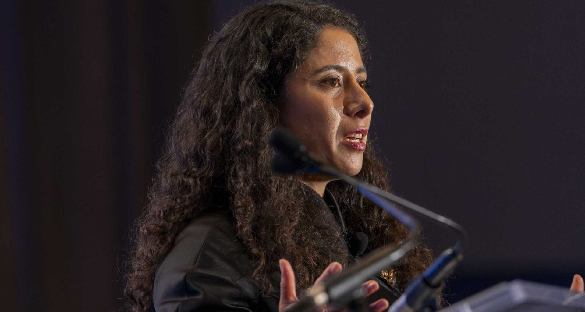 Lina Hidalgo blasts Democratic commissioners in scathing Substack post