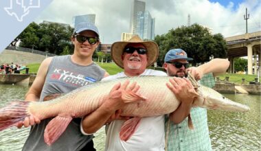 Can you actually fish in Houston’s Buffalo Bayou? What to know
