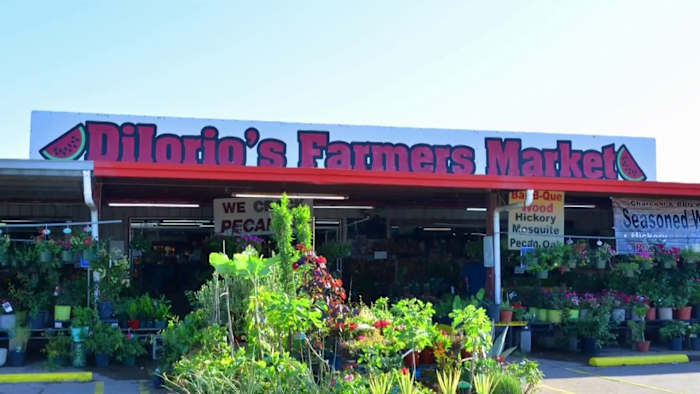 How the DiIorio family is celebrating 70 years of family, farming and community