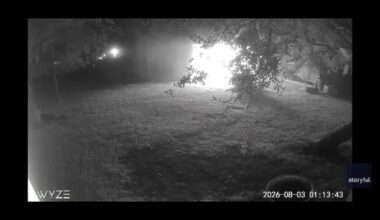 Heroic goose alerts Texas family to middle-of-the-night barn fire