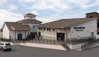 Rockport aquarium destroyed by Hurricane Harvey to be rebuilt
