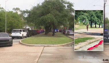 Houston gunman shot by police after firing at passing cars, 3 wounded