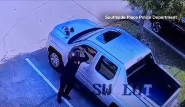 Southside Place officer attacked by bird outside police station, surveillance video shows