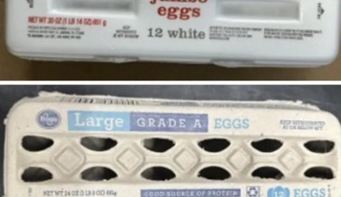 Egg recall upgraded to Class I after 98 sickened across 17 states