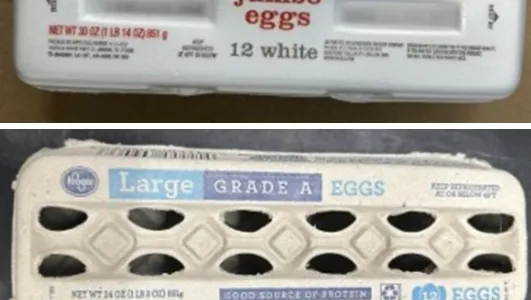 Egg recall upgraded to Class I after 98 sickened across 17 states