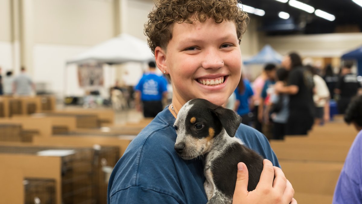 Images from the Humane Society of North Texas MEGA Adoption Event – NBC 5 Dallas-Fort Worth