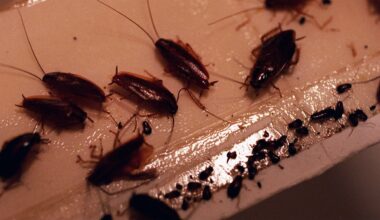 Inspectors found cleanliness problems — like live roaches in the kitchen, mold in the freezer — and more.