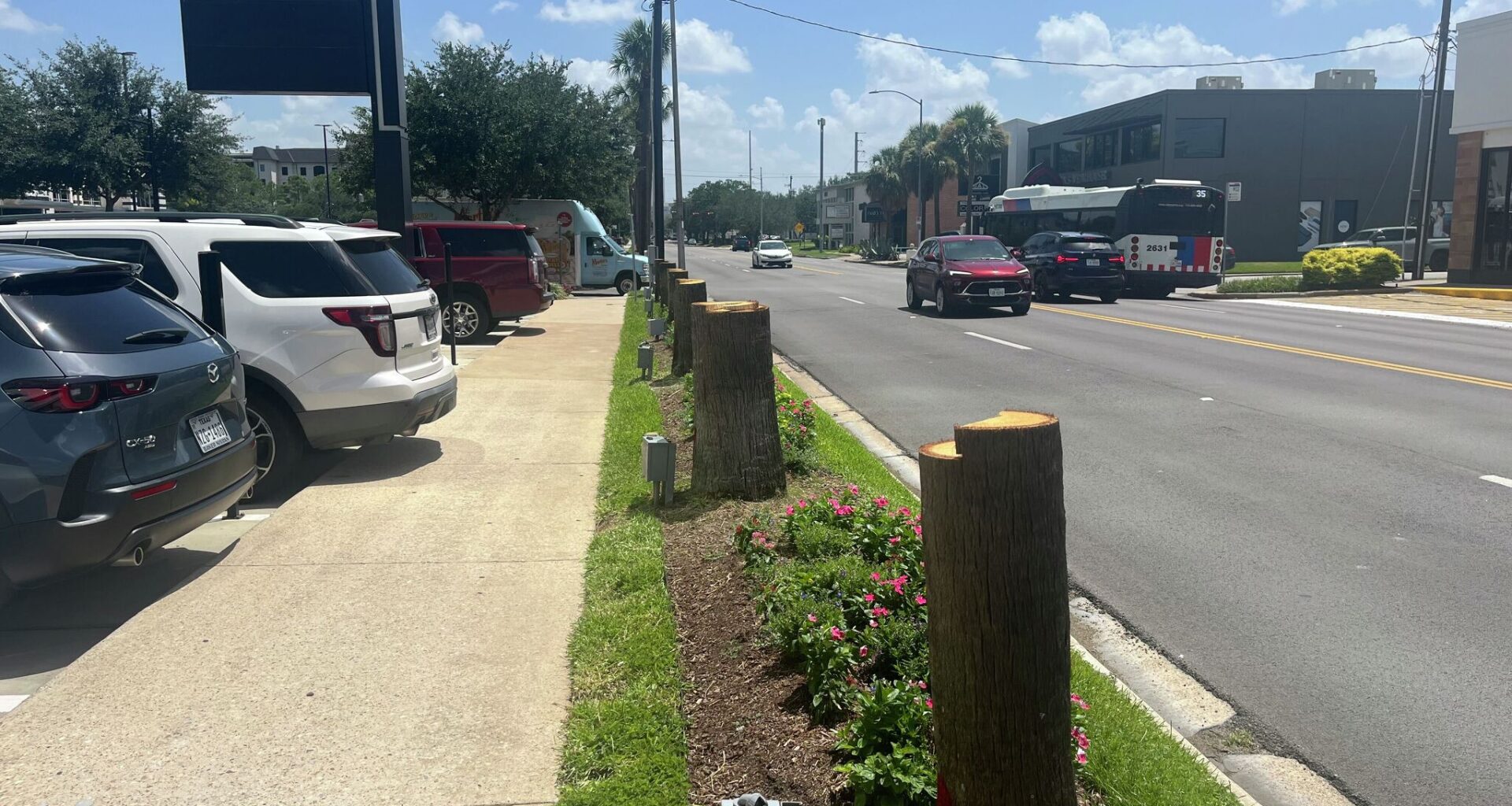 Here's why the West Gray palm trees were removed in River Oaks
