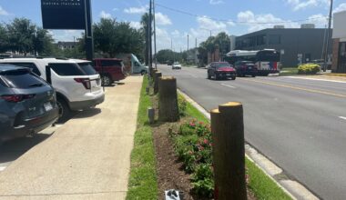 Here's why the West Gray palm trees were removed in River Oaks