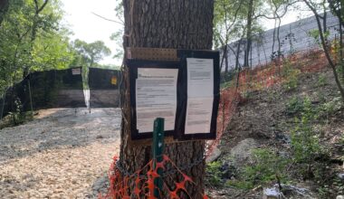 Letters — Bluffview, clean energy, immigrants, Fort Worth Stockyards