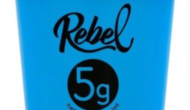 Rebel Creamery files for bankruptcy after Van Leeuwen legal battle