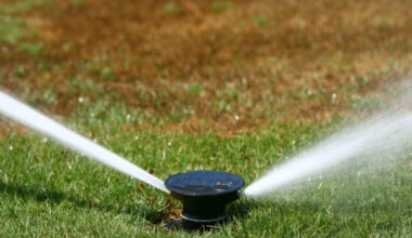 Most of D-FW 'abnormally dry' but not in drought yet