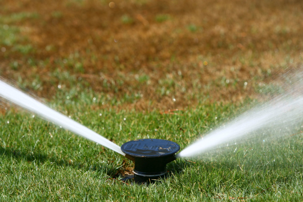 Most of D-FW 'abnormally dry' but not in drought yet