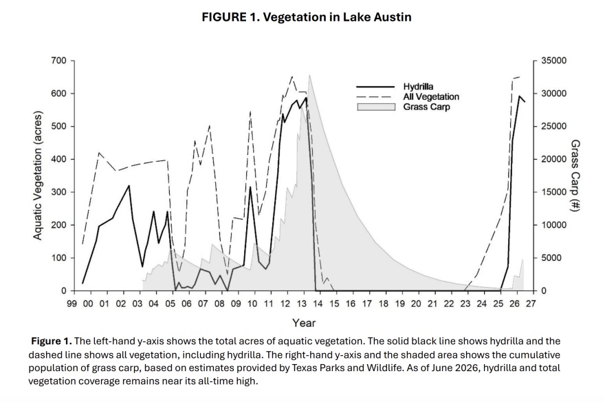 A chart from the Austin Watershed showing the total acres of aquatic vegetation on the left-hand y-axis. The solid black line shows hydrilla growth and the dashed line shows all vegetation, including hydrilla. The right-hand y-axis and the shaded area shows the cumulative population of grass carp, based on estimates provided by Texas Parks and Wildlife. In 2014 there was dramatic plumet of vegitation and hrdilla to vertually zero that stayed the same until 2025 where it rose up. Over thoses same years carp numbers slowly decreaded, reaching zero in mid 2025. As of June 2026, hydrilla and total vegetation coverage remains near its all-time high.