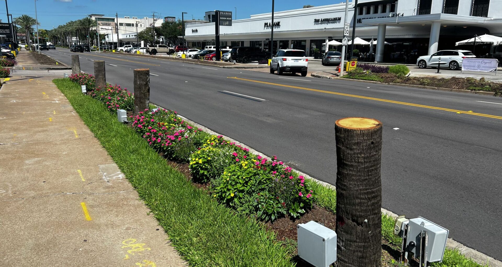 Iconic palm trees in ritzy Houston area will return