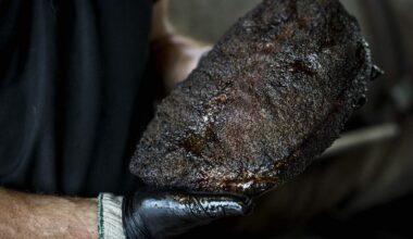 How supply and demand pushed up Texas brisket costs