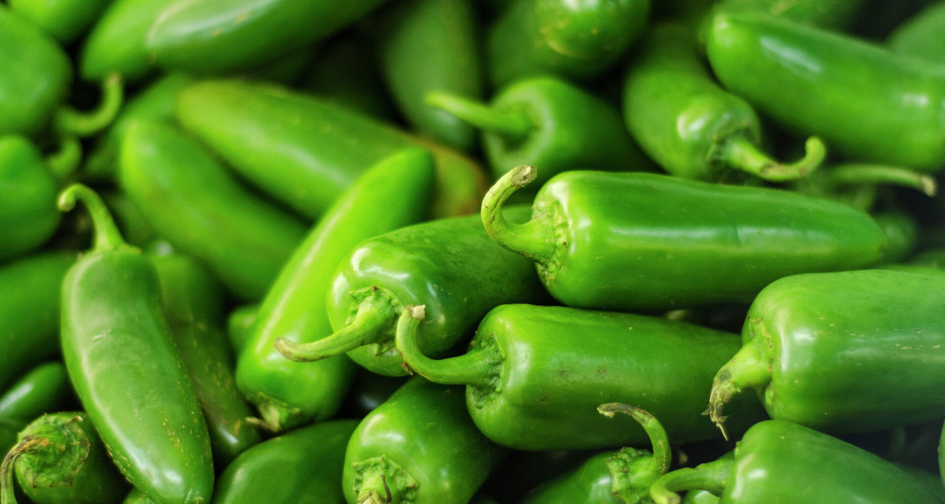Costco jalapeño recall hits Texas stores over Salmonella risk