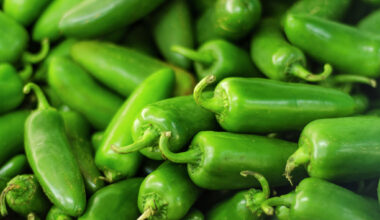 Costco jalapeño recall hits Texas stores over Salmonella risk