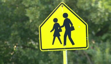 Two Dallas ISD students struck in possible hit-and-run on way to school