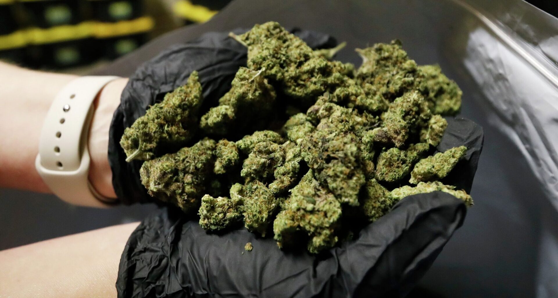 Texas needs to end our Reefer Madness. Legalize and regulate cannabis.