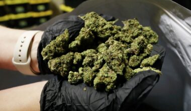 Texas needs to end our Reefer Madness. Legalize and regulate cannabis.