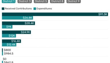 Austin City Council candidates: Who has raised the most money?