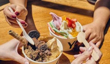Australian fro-yo chain Yo-Chi makes U.S. debut in Dallas