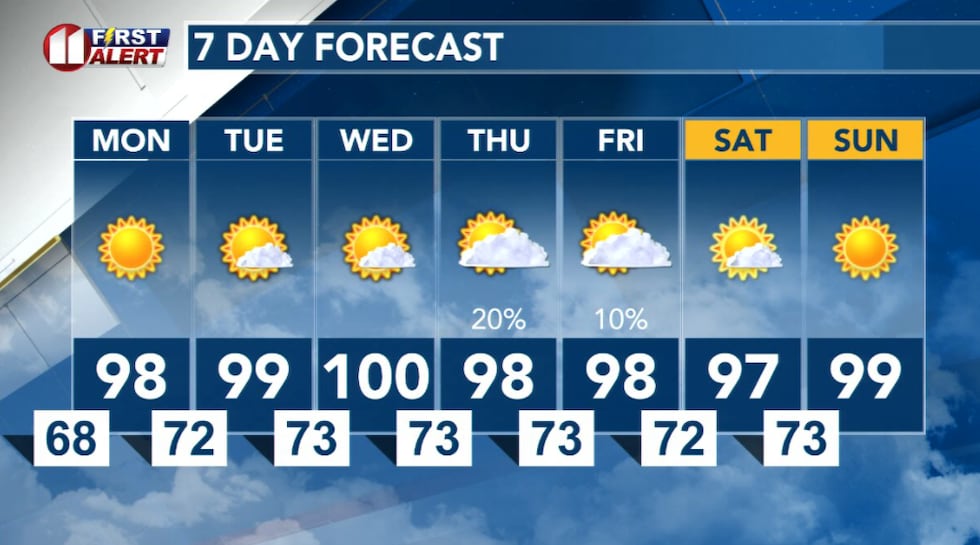 7 Day Forecast