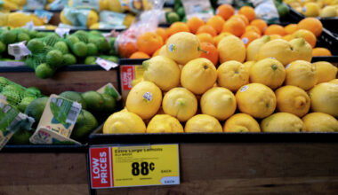 What happens to unsold food at H-E-B? Here's where it goes