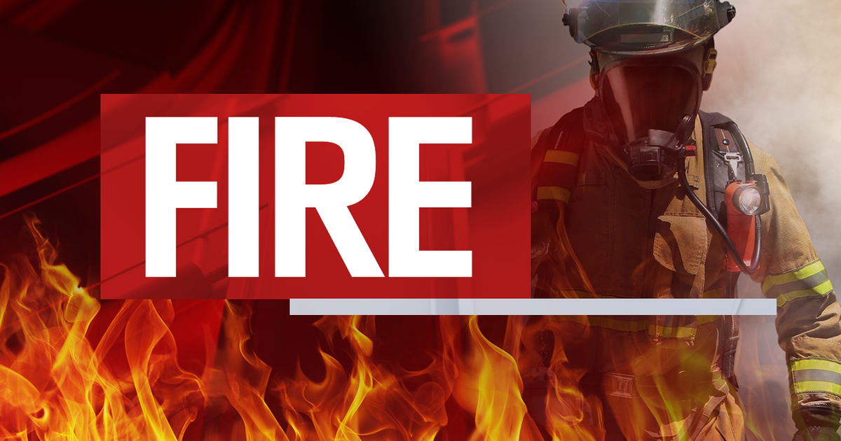 Two Dallas firefighters hospitalized with burns from house fire