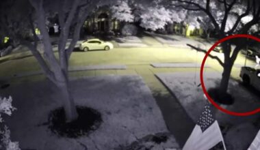 Two GMC trucks stolen less than an hour apart in Fort Bend County; constable shares ways to protect your vehicle