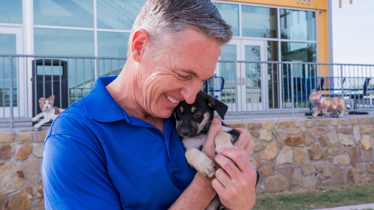 Images from Clear the Shelters at Henry’s Animal Campus – NBC 5 Dallas-Fort Worth