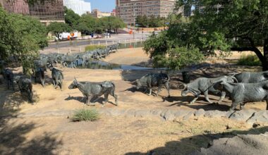 Wilonsky: The $15M redo for Dallas’ bronze steers, Pioneer Cemetery