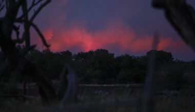 Texas wildfires today: Here's everything you need to know