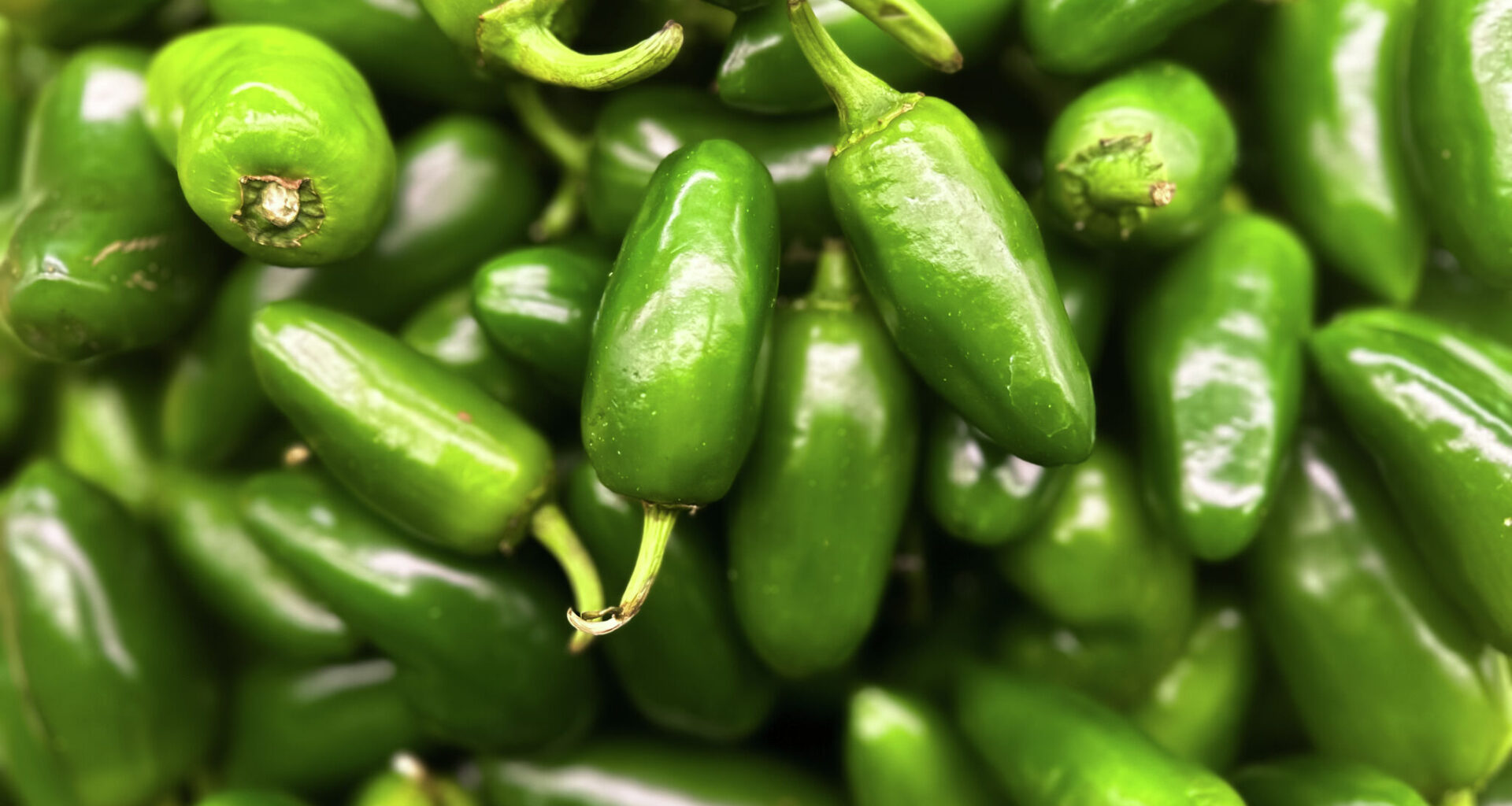 Jaime’s Spanish Village Jalapeno Ranch recalled over allergen risk